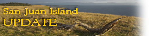 San Juan Island Update - serving San Juan Island, Friday Harbor, and Roche Harbor