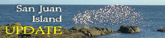 San Juan Island Update - serving San Juan Island, Friday Harbor, and Roche Harbor