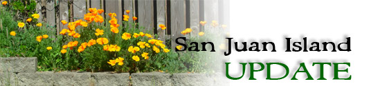 San Juan Island Update - serving San Juan Island, Friday Harbor, and Roche Harbor