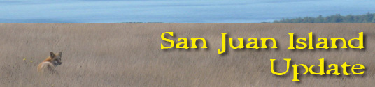 San Juan Island Update - serving San Juan Island, Friday Harbor, and Roche Harbor