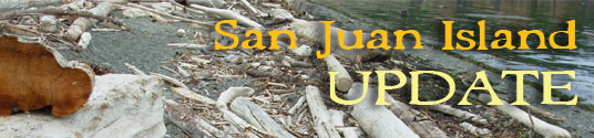 San Juan Island Update - serving San Juan Island, Friday Harbor, and Roche Harbor