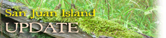 San Juan Island Update - serving San Juan Island, Friday Harbor, and Roche Harbor