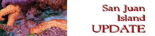 San Juan Island Update - serving San Juan Island, Friday Harbor, and Roche Harbor