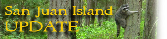San Juan Island Update - serving San Juan Island, Friday Harbor, and Roche Harbor