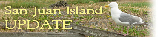 San Juan Island Update - serving San Juan Island, Friday Harbor, and Roche Harbor