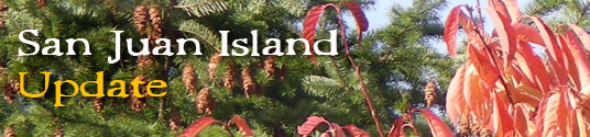 San Juan Island Update - serving San Juan Island, Friday Harbor, and Roche Harbor