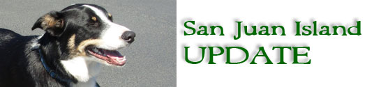 San Juan Island Update - serving San Juan Island, Friday Harbor, and Roche Harbor